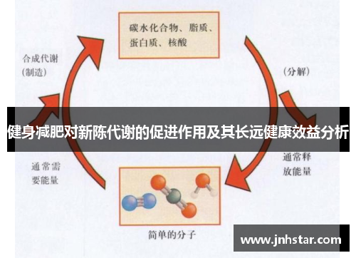 健身减肥对新陈代谢的促进作用及其长远健康效益分析